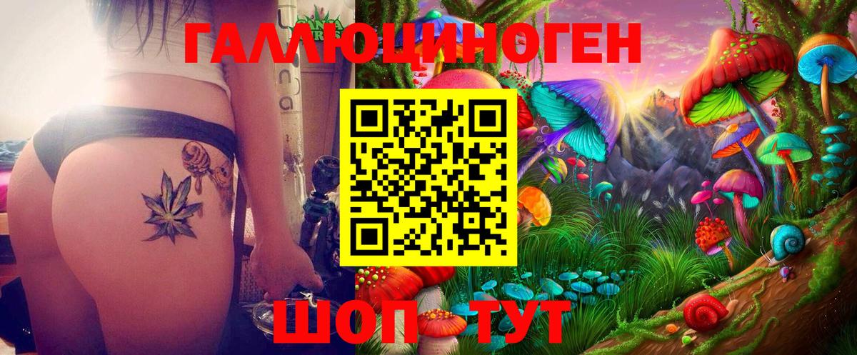Галлюциногенные грибы GOLDEN TEACHER Приморско-Ахтарск