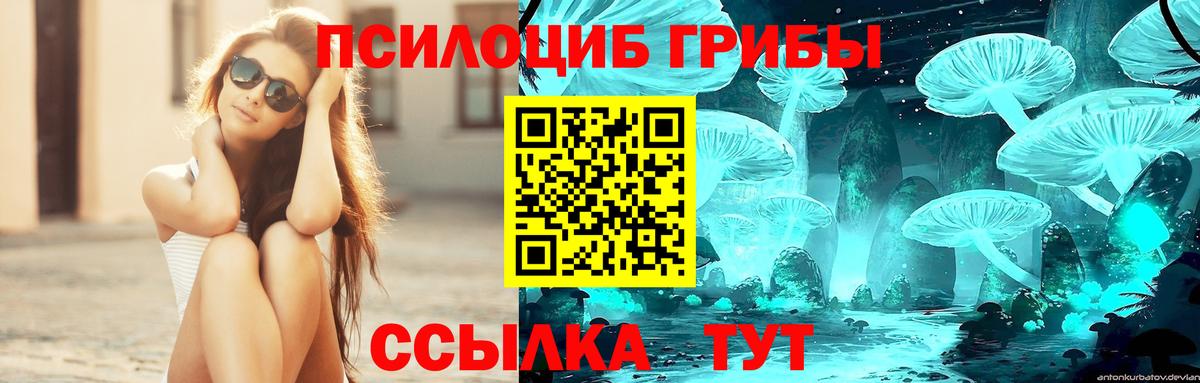 Галлюциногенные грибы MAGIC MUSHROOMS  Вход с VPN  Приморско-Ахтарск 